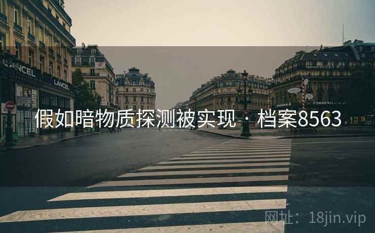 假如暗物质探测被实现 · 档案8563