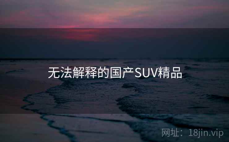 无法解释的国产SUV精品