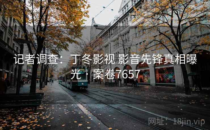 记者调查：丁冬影视 影音先锋真相曝光 · 案卷7657